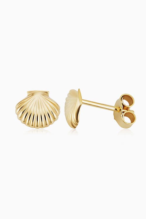 Shop Oradina 14k Yellow Gold Seashell Studs