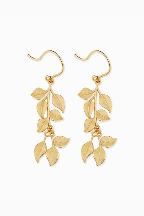 Oradina 14k Yellow Gold New Beginnings Drop Earrings In Yellow Gold