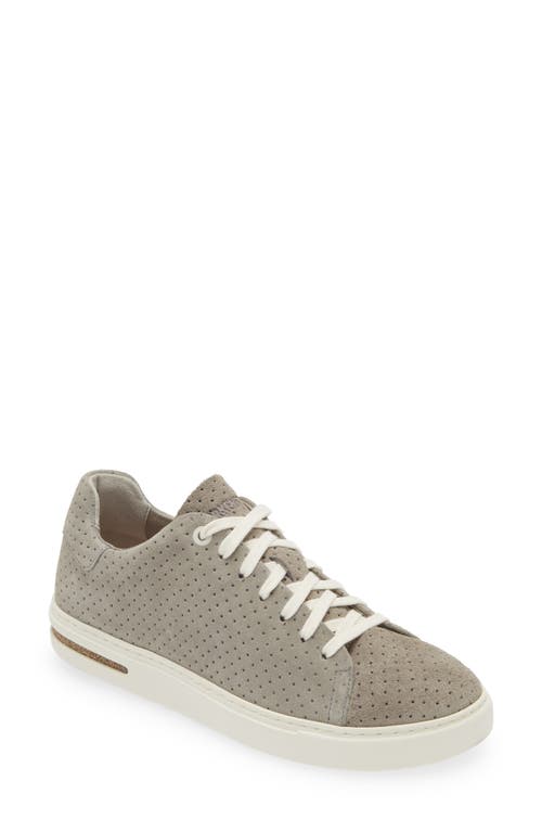 Bend Pin Dot Sneaker in Stone Coin