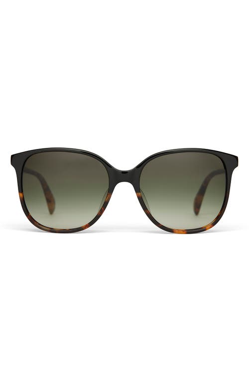 TOMS Sandela 55mm Gradient Square Sunglasses in Black Fade/olive Gradient