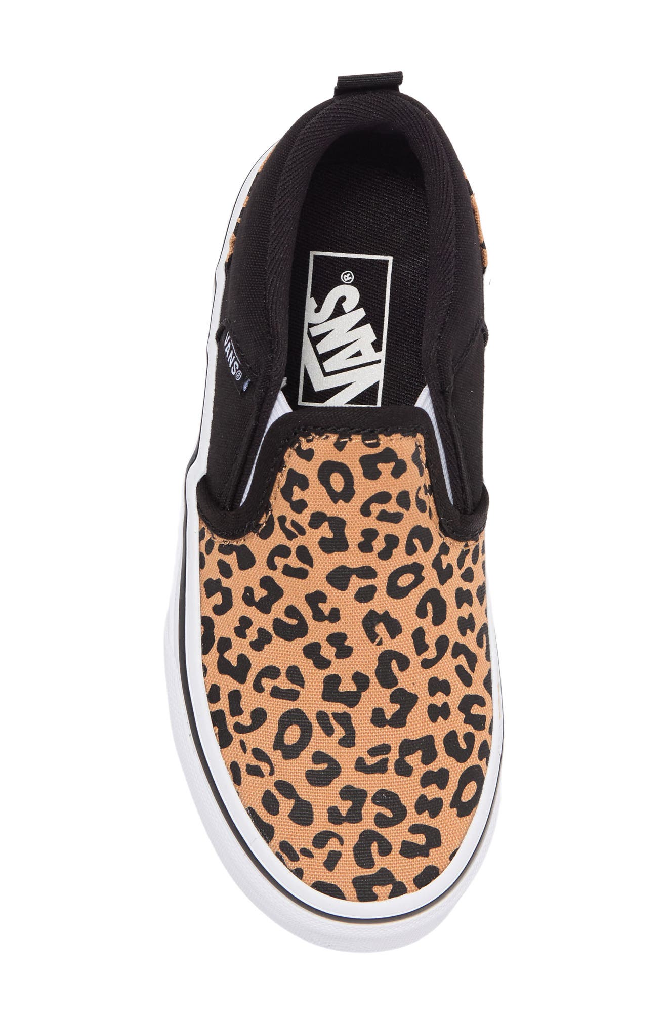 vans asher cheetah print