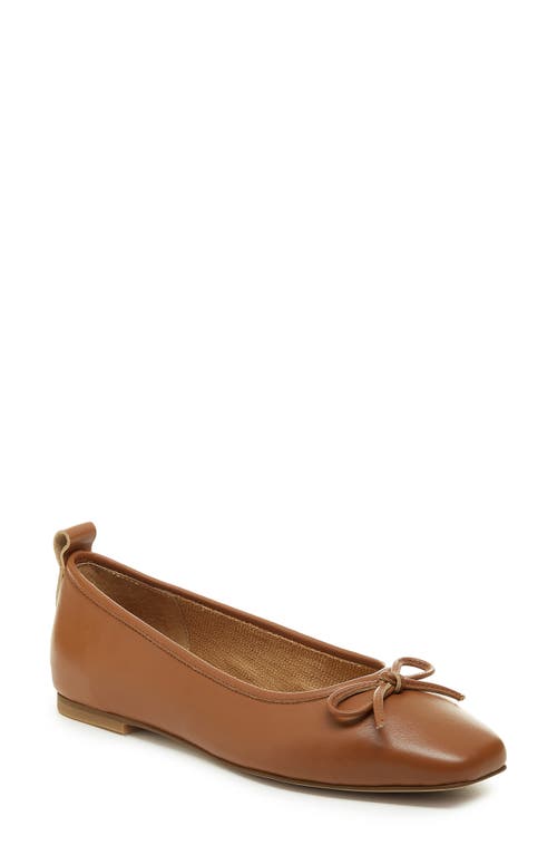 Frankie Square Toe Ballet Flat in Gingerbread