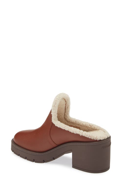 Shop Ferragamo Saura Genuine Shearling Lined Mule In Cappuccino Naturale Biscotto