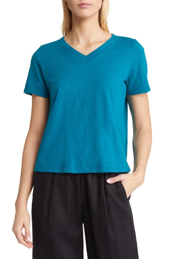 Eileen Fisher Organic Cotton V-neck T-shirt In Jewel