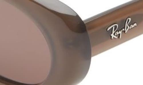 Ray Ban Ray-ban 53mm Pillow Oval Sunglasses In Opal Brown