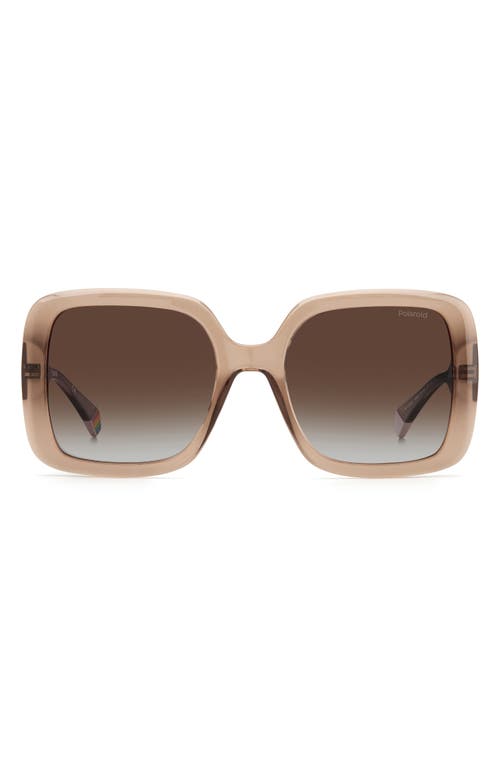 54mm Polarized Square Sunglasses in Beige /Brown Grad Polz