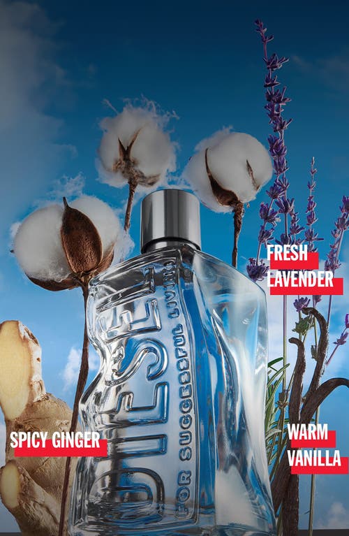 Diesel ® D By Eau De Toilette Set In No Color