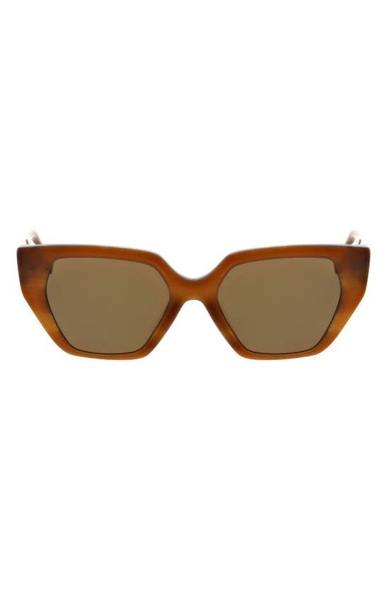 Oscar De La Renta 51mm Square Cat Eye Sunglasses In Brown Striated