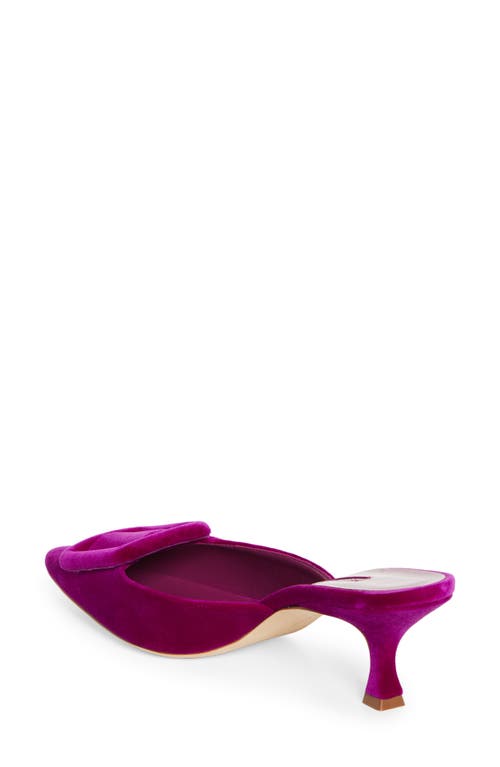 Shop Manolo Blahnik Maysale Buckle Pointed Toe Mule In Purple