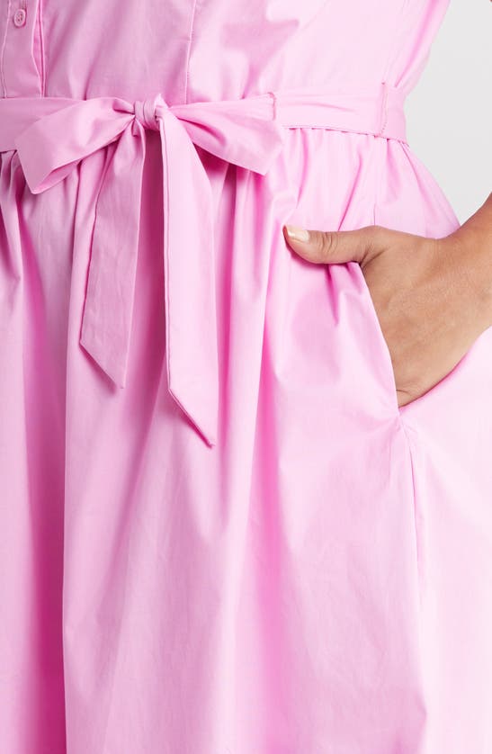 Shop Maggy London Tie Waist Sleeveless Stretch Poplin Shirtdress In Pastel Lavender