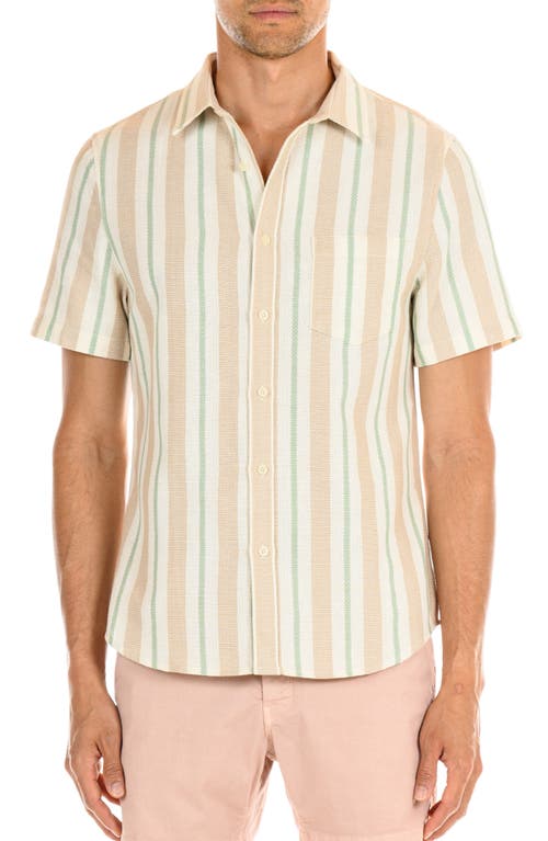 Shop Original Paperbacks Perth Classic Fit Stripe Short Sleeve Cotton Button-up Shirt In Sage Taupe