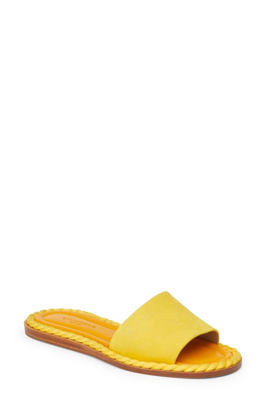 Lafayette 148 Slide Sandal In Golden Yellow
