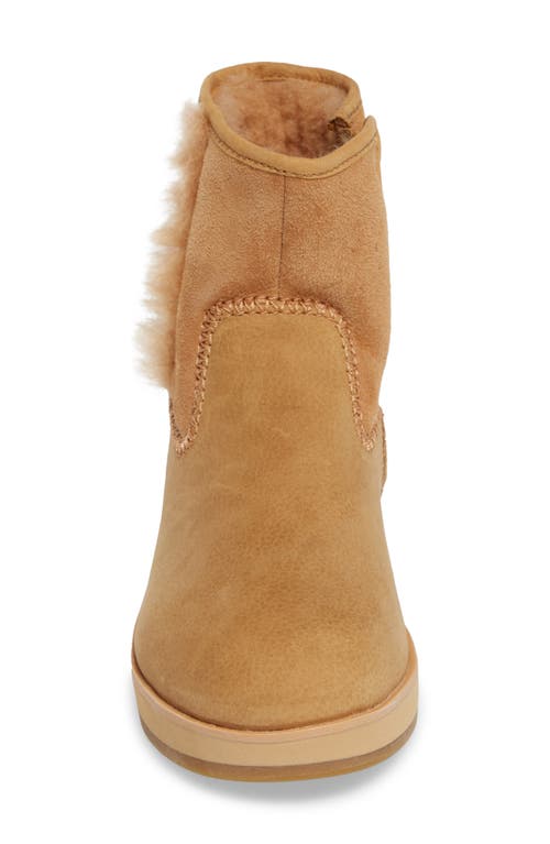 Shop Olukai Paina Hulu Waterproof Genuine Shearling Lined Boot In Tan/tan