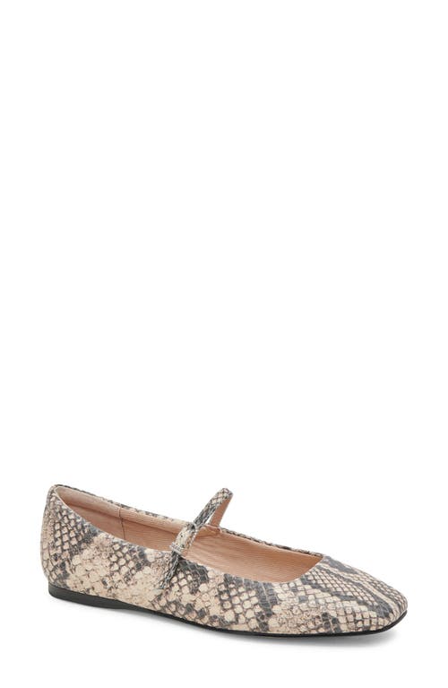 Dolce Vita Reyes Mary Jane Leather at Nordstrom,