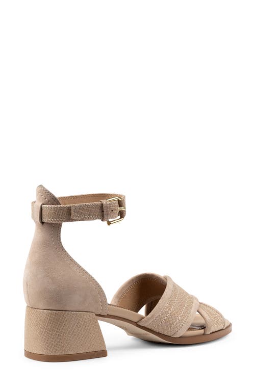 Shop Donald Pliner Ava Ankle Strap Sandal