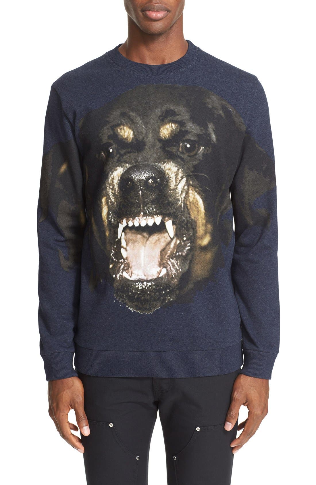 givenchy rottweiler sweater