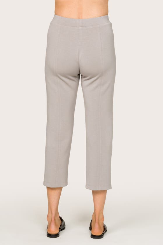 Shop Alala Phoebe Crop Pant In Stone