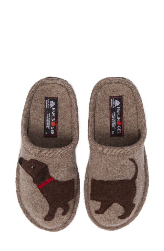Haflinger Dog Slipper In Earth