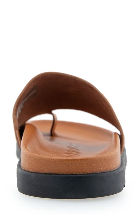 Shop Aerosoles Laurel Slide Sandal In Tan Leather