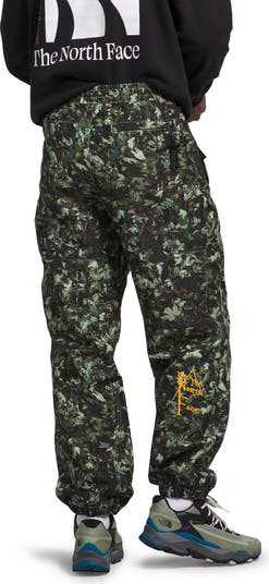 The north face outlet camo pants