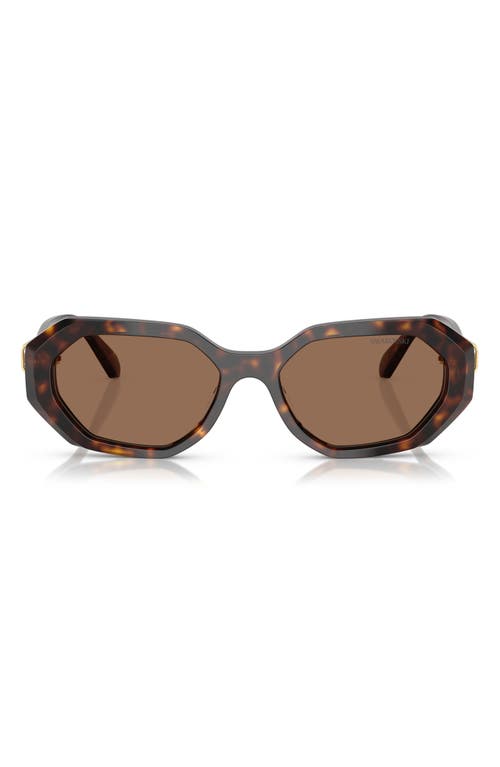 Swarovski 54mm Irregular Sunglasses In Dark Havana
