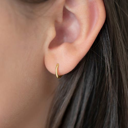 Shop In Season Jewelry 14k Timeless 7mm Hoop Earrings In Gold