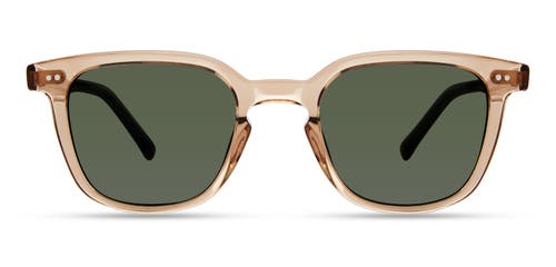 Modo 800 Sunglasses In Brown Olive