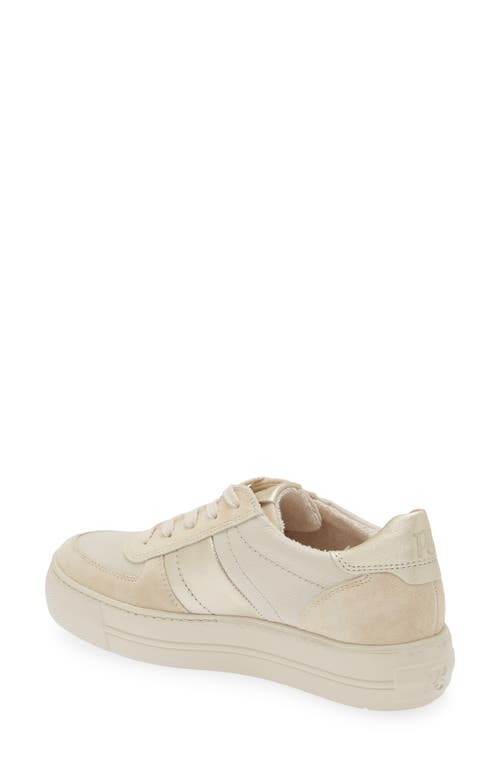 Shop Paul Green Unity Platform Sneaker In Sand Biscuit Combo