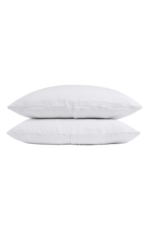 Parachute Cloud Cotton Sham Set in White at Nordstrom, Size Standard