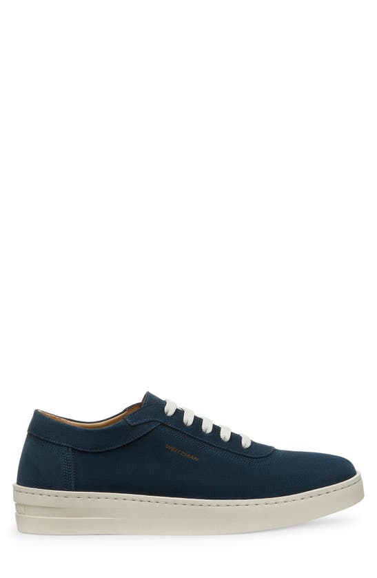 Shop Stuart Weitzman Hamptons Sneaker In Navy