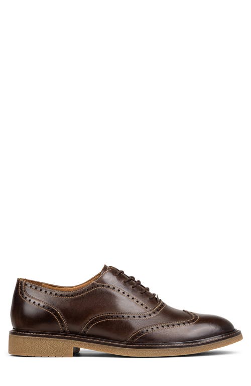 Donald Pliner Keelan Wingtip Oxford In Chocolate/chocolate