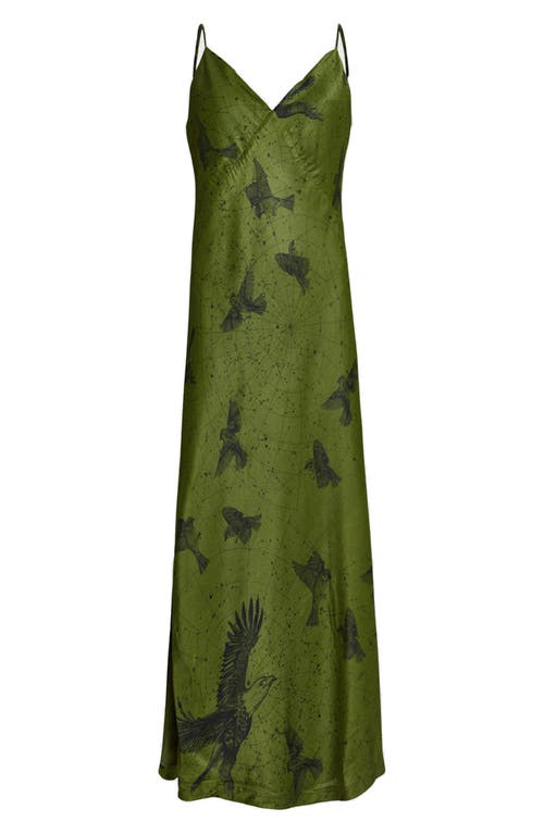Shop Allsaints Melody Bird Print Midi Slipdress In Spell Green