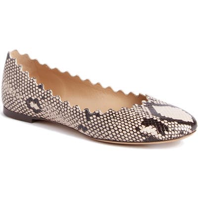 Chloe Lauren Ballerina Flat, Grey