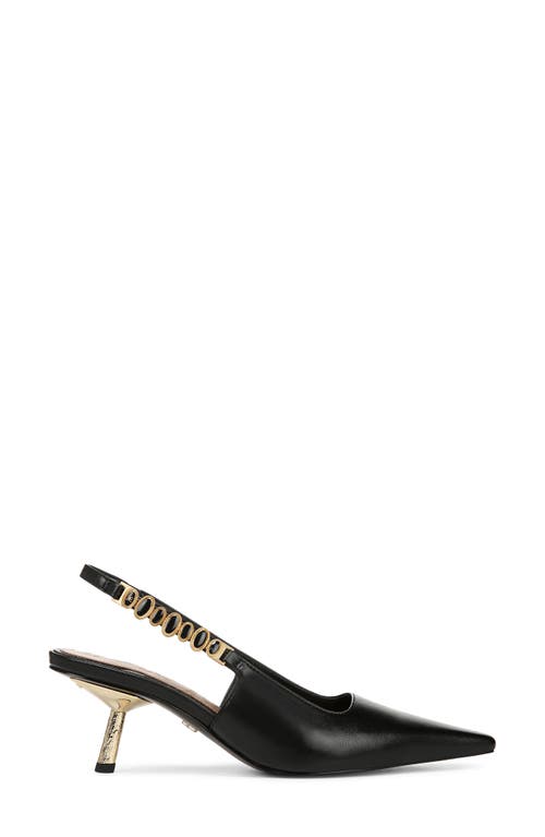 Shop Sam Edelman Baker Pointed Toe Slingback Pump In Black