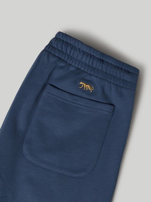 Shop Robert Talbott Chandler French Terry Short In Indigo Blue