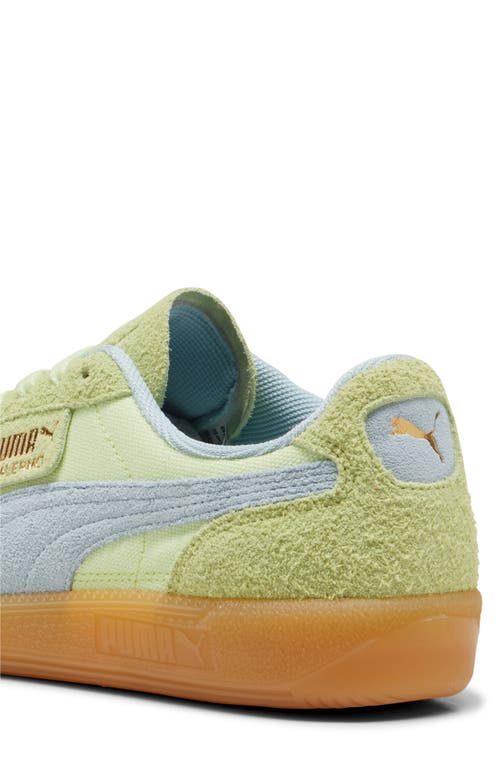 Shop Puma Palermo Sneaker In Cool Cucumber-frosted Dew-gold