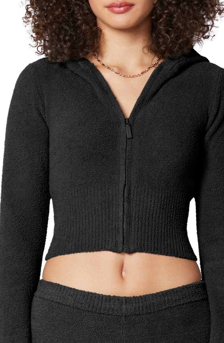 Florence by Mills Cozy Crop Zip Sweater Hoodie, Alternate, color, Black