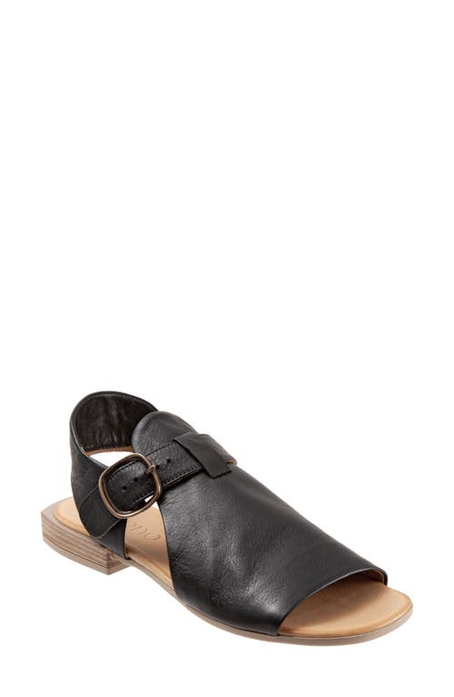 Bueno Ava Buckle Sandal in Black Leather