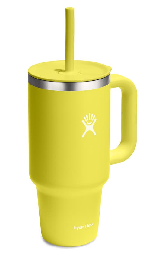 Shop Hydro Flask 32-ounce All Around™ Travel Tumbler In Cactus