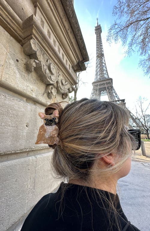 Shop Solar Eclipse Frenchie Claw Hair Clip In Brown