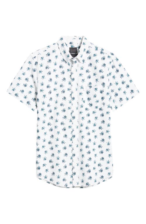 14th & Union Cotton Seersucker Short Sleeve Button-up Shirt In White- Blue Bird Toil