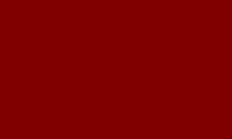 Shop Nike Crimson Alabama Crimson Tide Logo Shorts