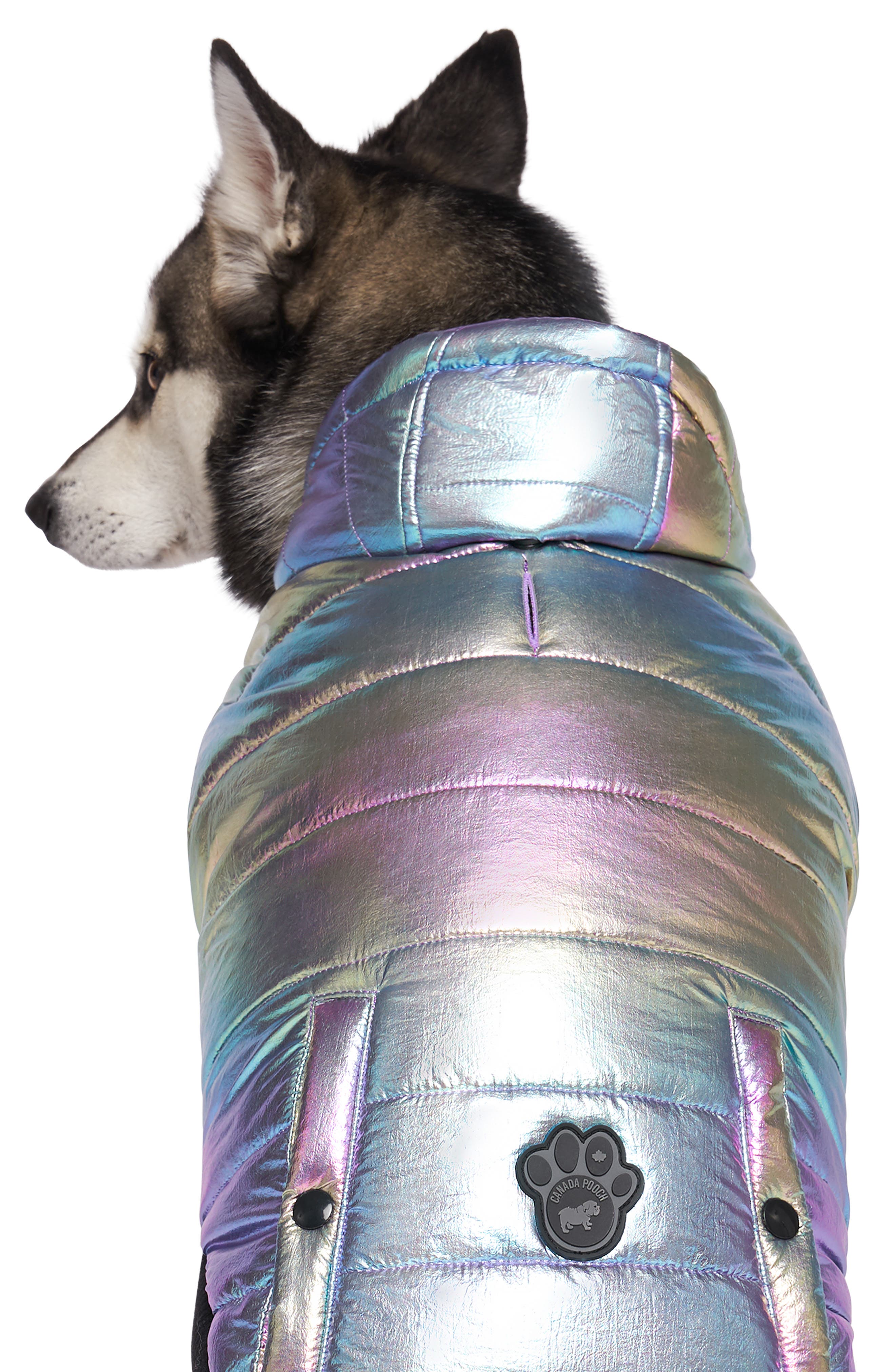 Canada pooch shiny puffer vest Clearance
