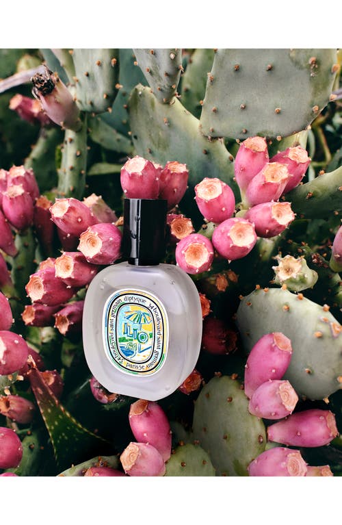 Shop Diptyque Ilio Hair Mist In No Color