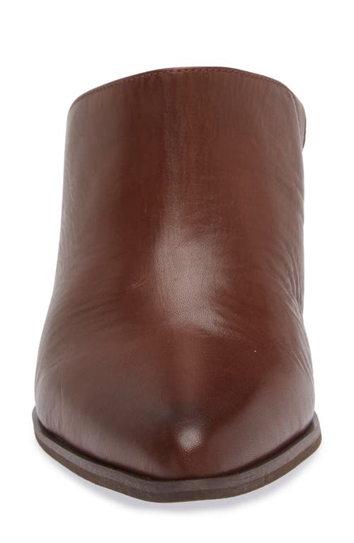 Chocolat Blu Emery Pointed Toe Mule In Dark Brown Leather