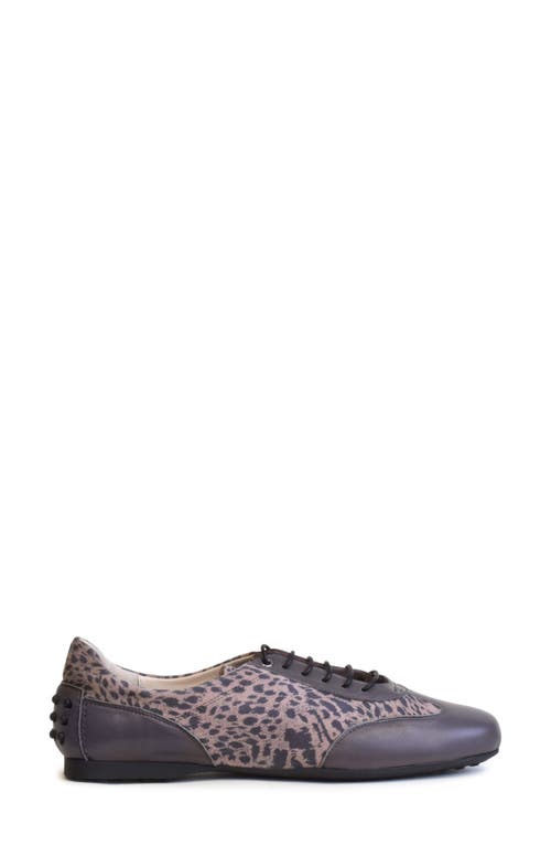 Amalfi By Rangoni Dorina Oxford In Taupe Jaquar/ardesia Cashmere