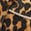 selected Multi Leopard Print Calf Hair color