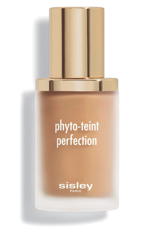 Sisley Paris Phyto-Teint Perfection Foundation in 4W Cinnamon at Nordstrom, Size 1 Oz