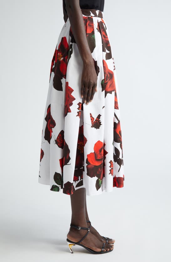 Shop Alexander Mcqueen Tudor Rose Pleated Cotton Midi Skirt In Opticalwhite
