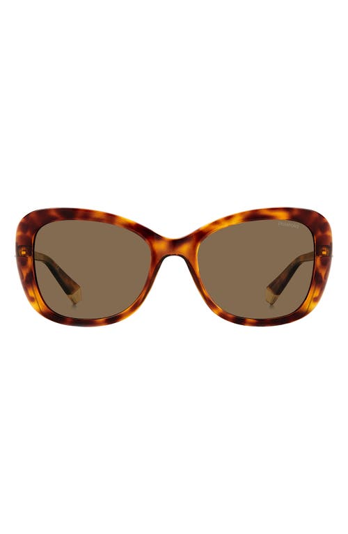 Shop Polaroid 53mm Polarized Cat Eye Sunglasses In Havana/bronze Polar